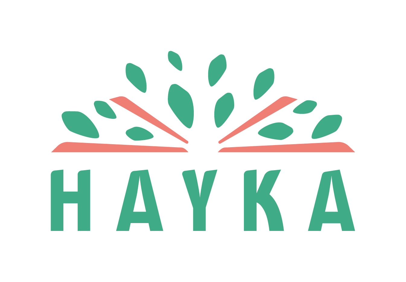 HAYKA_logotype.png